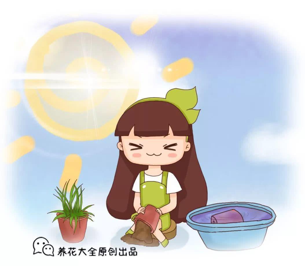 6种土肥的流油 自家门口就有 别花钱买土啦