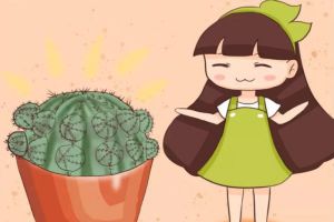 她狠心一切,花连爆10个芽,拦都拦不住!