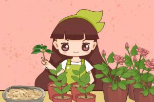 木头渣子竟是养花宝贝?养花大神就靠它,把花1盆变10...