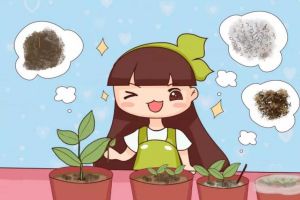 这4种花,现在扦插100%活,错过再等一年!