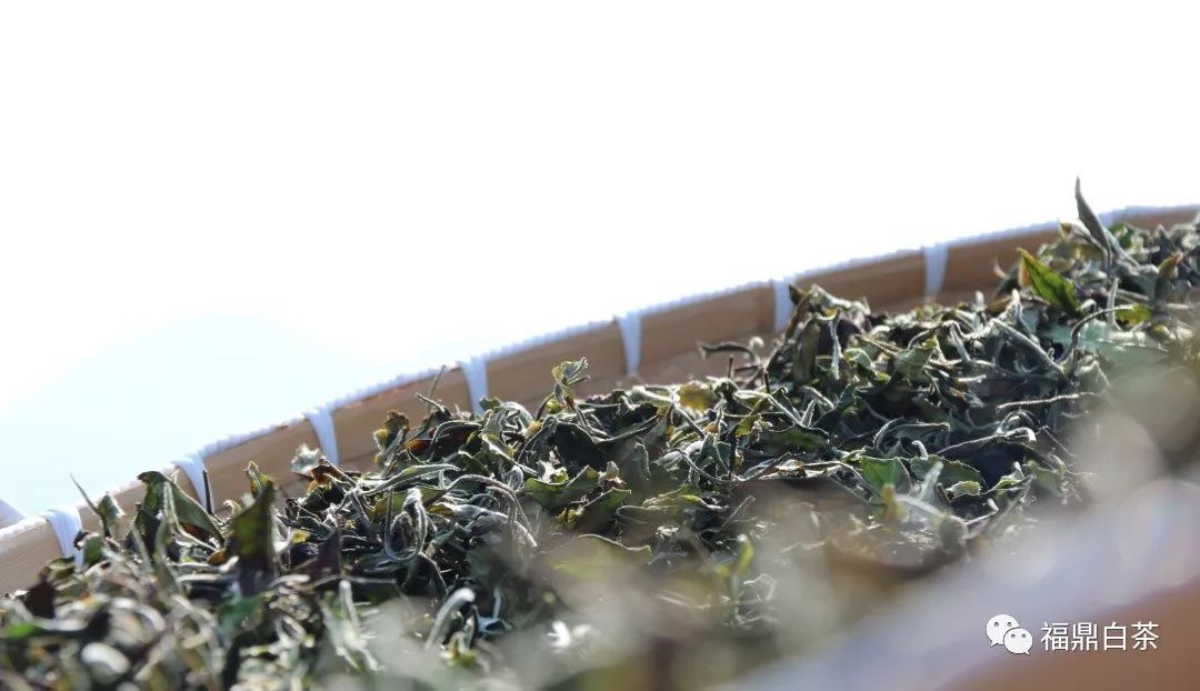 干净是最好的品质