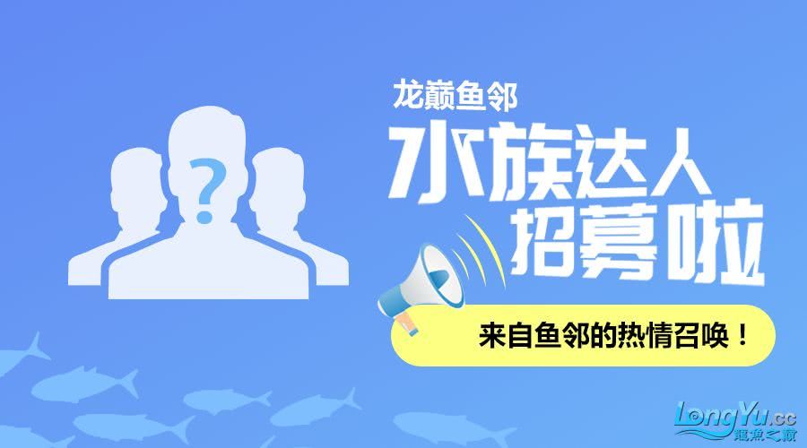 龙巅鱼邻水族达人招募令