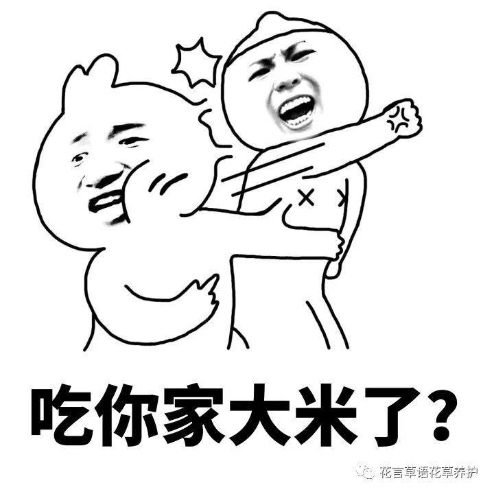 会过日子的注意了 这10种植物不宜在卧室摆放