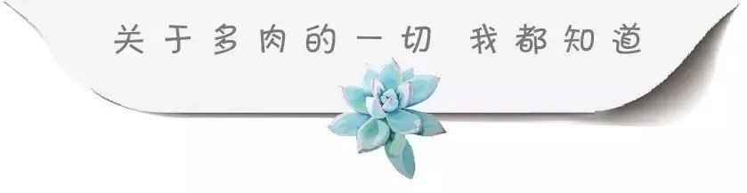 石菖蒲 掐指一算你的书房缺它