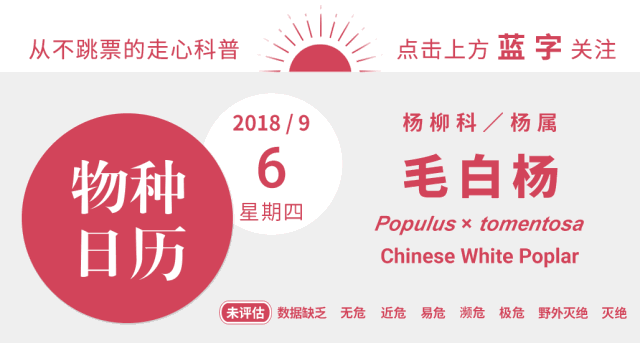 你在北方的艳阳里 大雪纷飞啊嚏