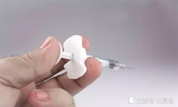 航泰水族：锦鲤褪色？七要素找根源解决
