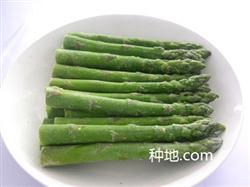 求解:芦笋的营养价值有那些