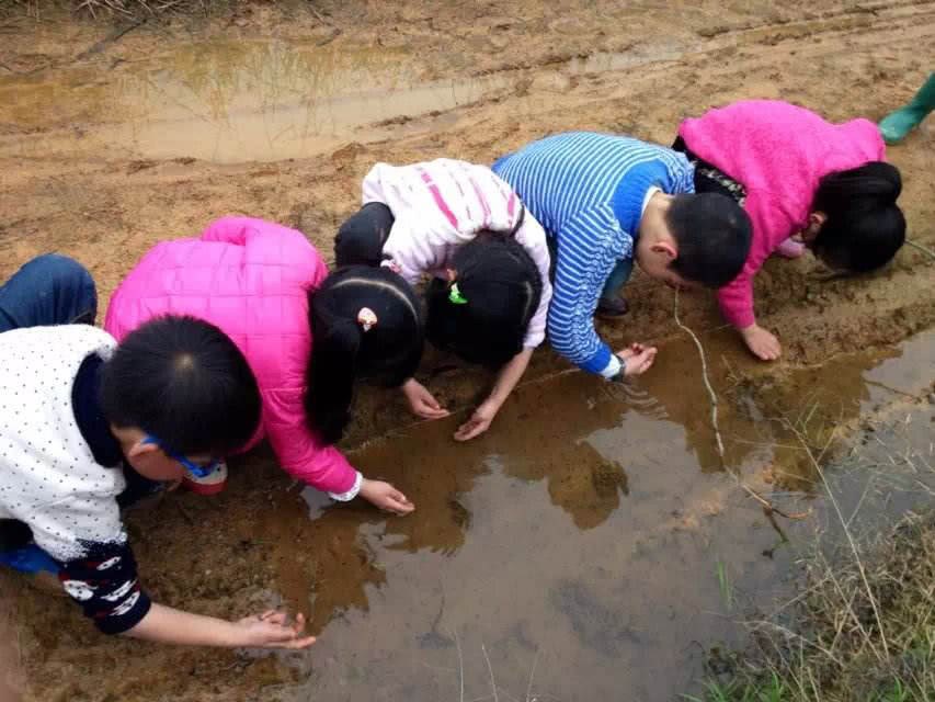 它是水中益虫 也是广西人的最爱 炖汤是一绝 外地人不敢吃