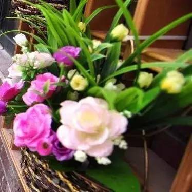 学几招 让你的茶花叶绿、花大、株壮 一年开3次花