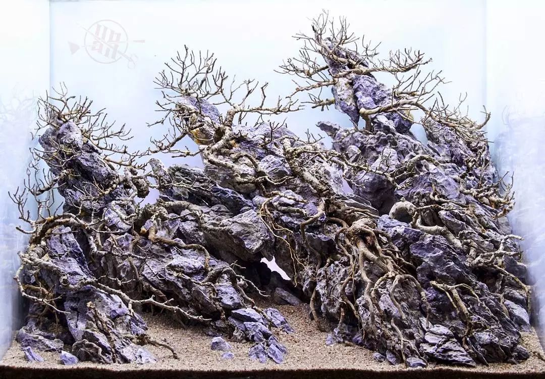 我就不信这上百幅造景骨架里 没有你喜欢的那个