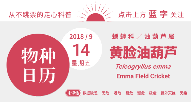 它大名阎魔 你可能养过