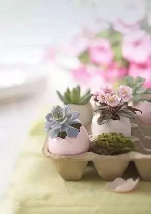 你想丢掉的旧物 其实可以搭配植物这样玩