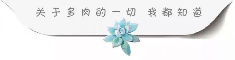 开一下脑洞 装饰绿植怎样才能更有趣?