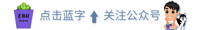 多肉的花盆 选对了才容易养出好状态