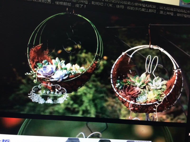 老公DIY做的铁艺多肉花环 网友直呼:巧手老公啊 好手艺