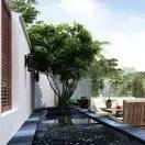 家中必备的8种植物 效果堪比开窗通风