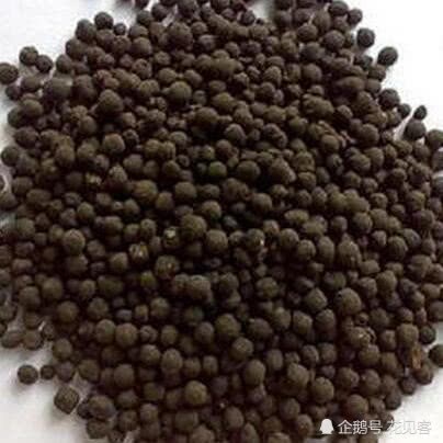它被称为肥料生长素 盆里丢一小粒 呼呼疯长 花开爆盆