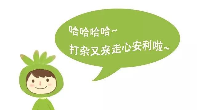中秋倒计时 给家人的礼物 首选当然是价廉物美的多肉啦