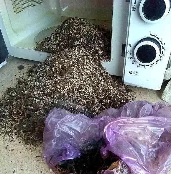 养花盆土消毒有讲究 这几个方法都是大杀招