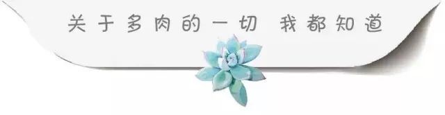 安利贴园艺小白一定要了解的绿植