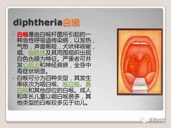 白喉也容易并发中毒性肾病