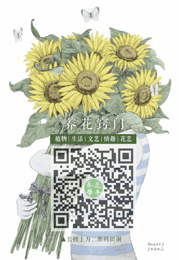 注意了 家里有这东西的尽快仍掉 别再让您的孩子碰了