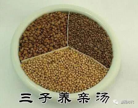 哮症中的辨证施治(1)