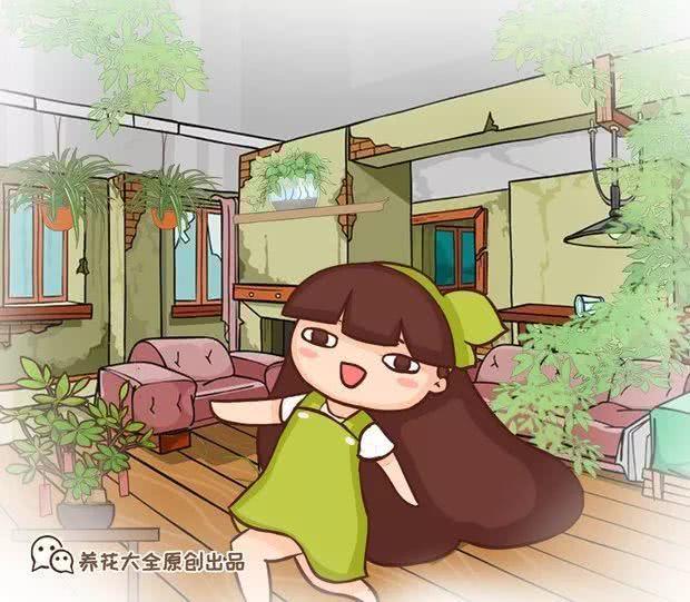 30平的蜗居房 也能拥有小花园 别再嫌地方小
