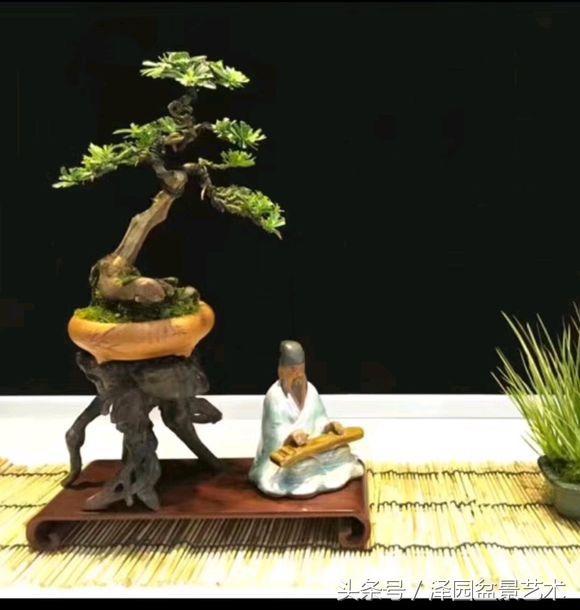 案头清供 惹人喜爱