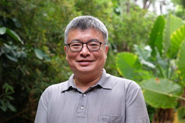 “龙猫教授”王升阳与森林秘密世界!白千层舒缓杀菌土肉桂抗氧化,宝藏挖不完