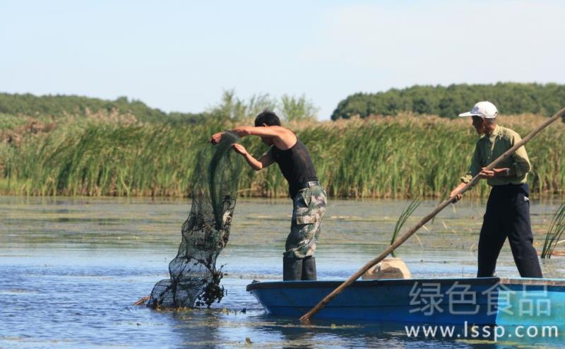 如何使河蟹肥满度最佳河蟹育肥三项管理措施
