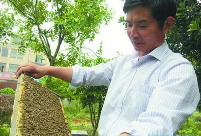 酿甜蜜事业闯致富新路