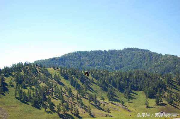 靠山吃山一座小山丘怎样给村里人带来致富之路亲历叙述