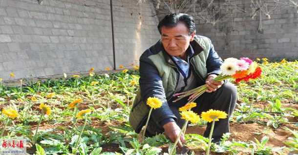 花农李建军乐话勤劳致富经