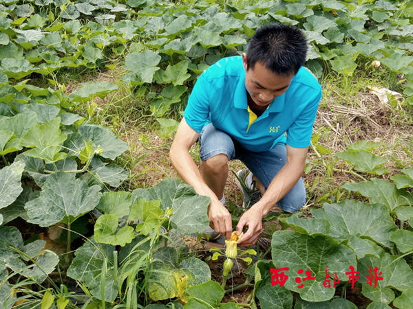 “输血”变“造血”带动农民增收