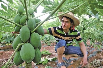 广西来宾兴宾区能人带头奔富路