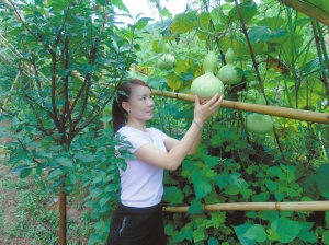 杨值芬：圆梦生态农庄