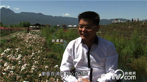房地产商变身花痴后的财富传奇