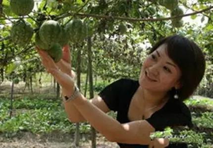 农村致富排行榜，你想成为下一个他吗？