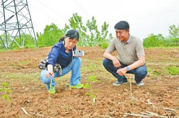 科技干部陶曼晞扶贫搞因地制宜
