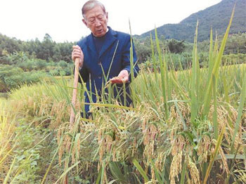 米带桂花香味价为普通3倍