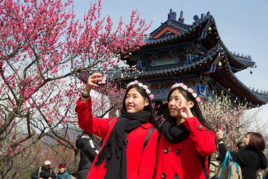南国景色鲜春色在花间