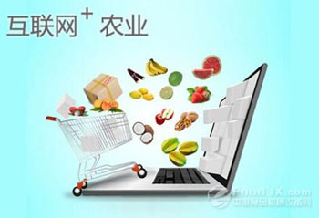 “互联网+”助农产品走出田间地头