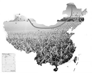 不种玉米咱种啥农药残留先调查