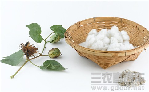 农业部探索长江流域棉花生产模式