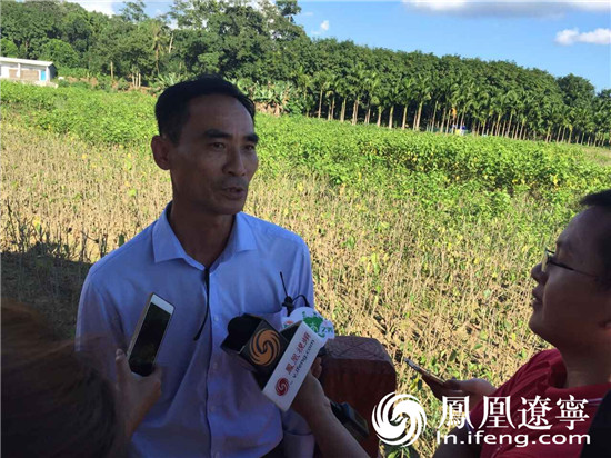 海南琼中：农民种桑养蚕织就致富路