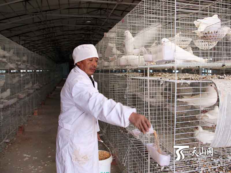 一五零团职工胡万超多种经营致富路上跑到快