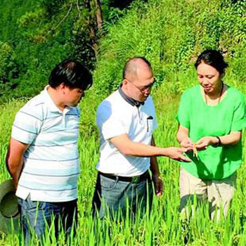 大学体育女教授深山种出胭脂稻