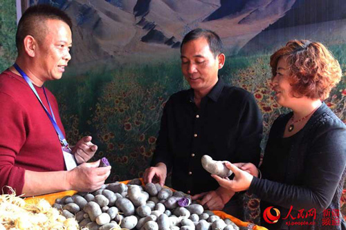 **帕米尔高原地产黑土豆里商机无限