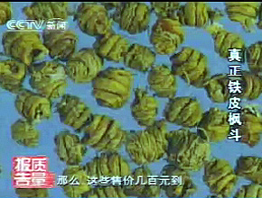 铁皮石斛是神奇中药还是商业炒作